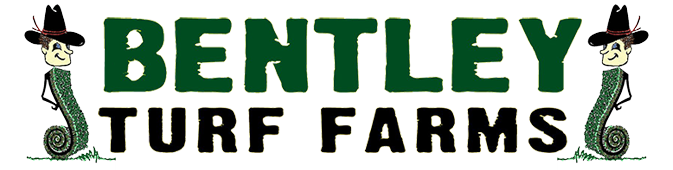 Bentley Turf Farm LLC Logo