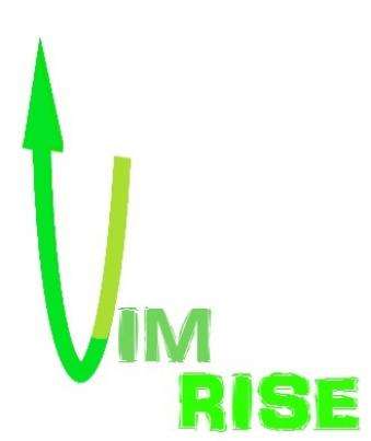 VIM Rise Financial Services, LLC Logo