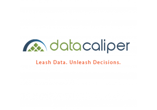 Data Caliper, LLC Logo