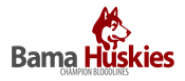 Bama Huskies Logo