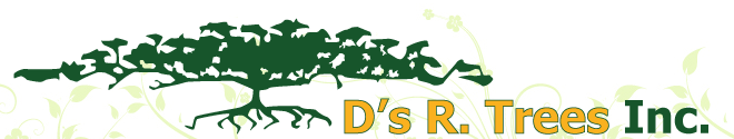 D's R Trees, Inc. Logo