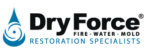 Dry Force Logo