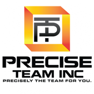 Precise Team, Inc Logo