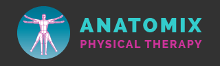 Anatomix Physical Therapy Logo