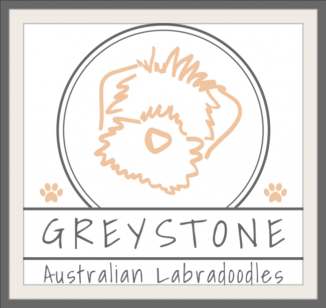 Greystone Australian Labradoodles, LLC Logo