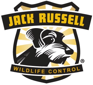 Jack Russell Home Services Inc Logo