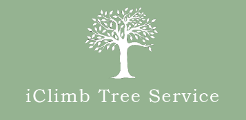 IClimb Tree Service, LLC Logo