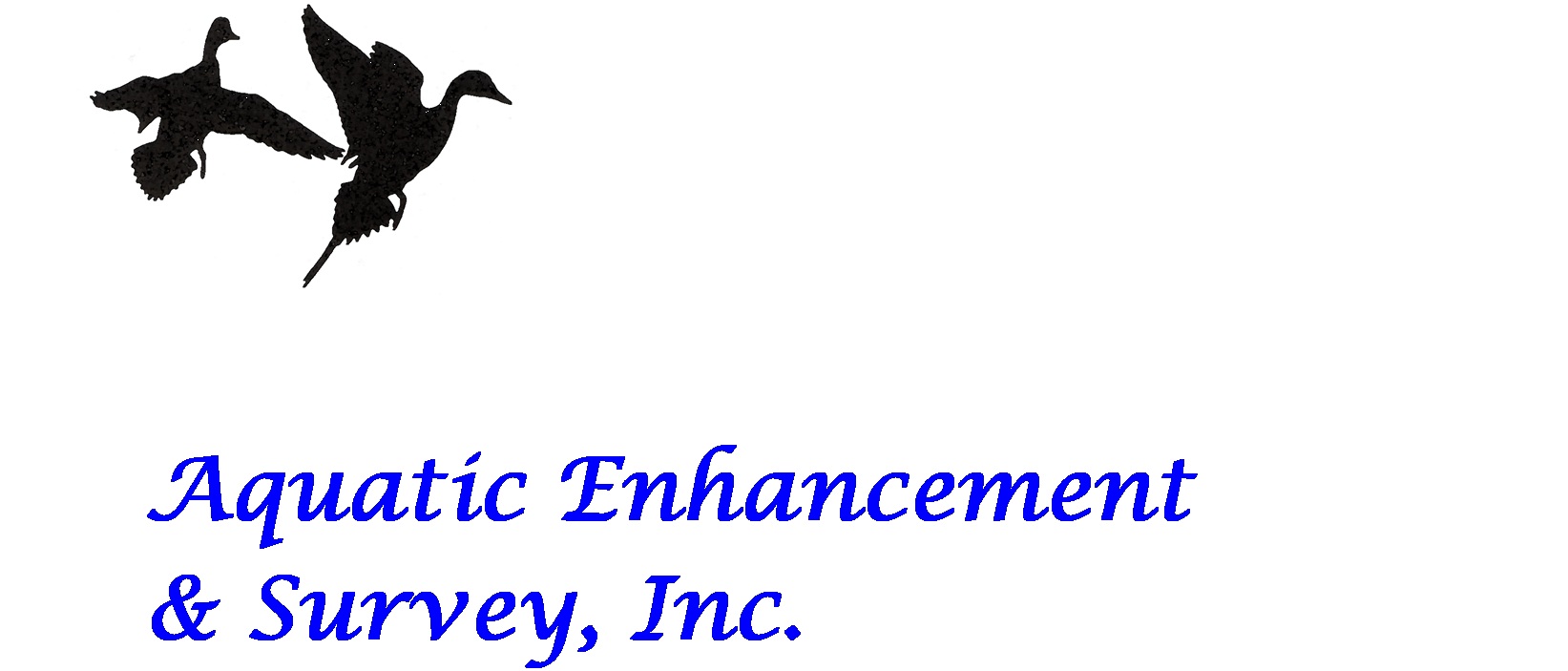 Aquatic Enhancement & Survey, Inc. Logo