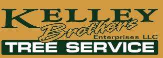 brothers tree service reviews