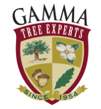 Gamma Tree Experts Logo