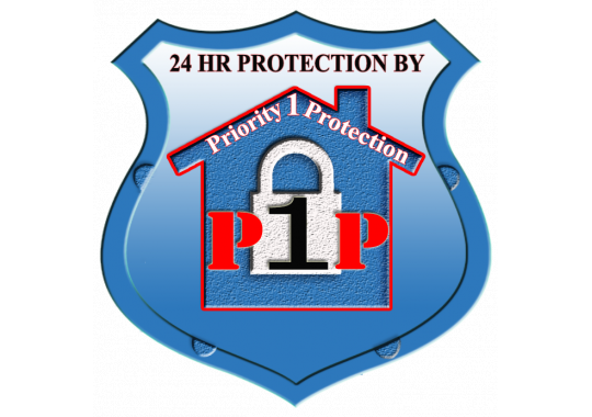 Priority 1 Protection, LLC Logo