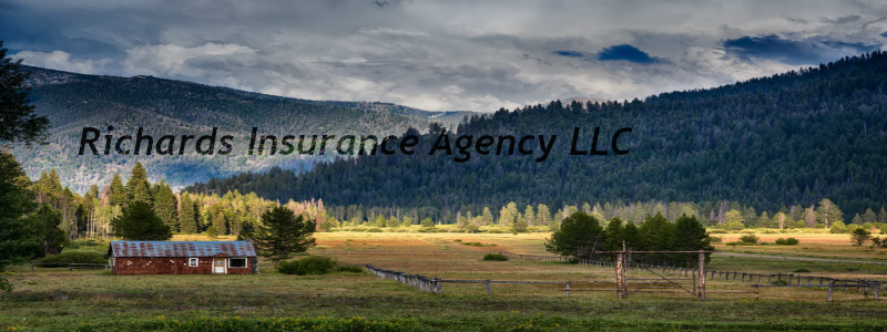 Richards Insurance Agency LLC Logo