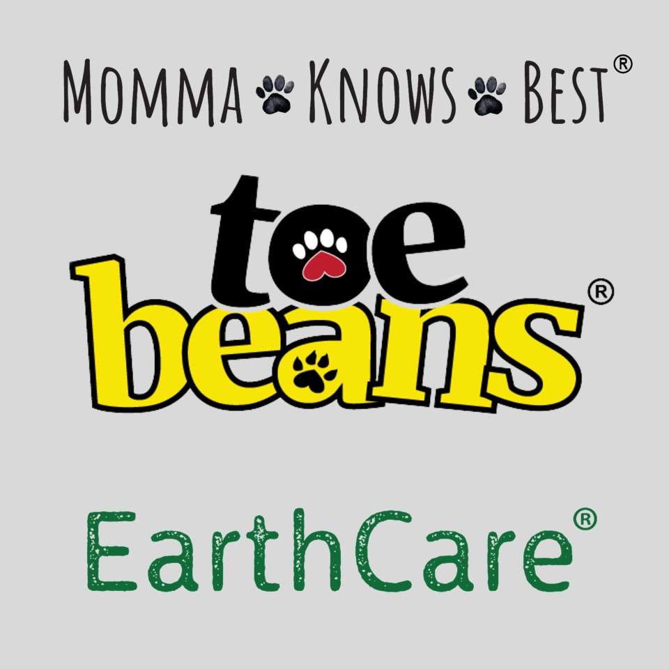Toe Beans Logo