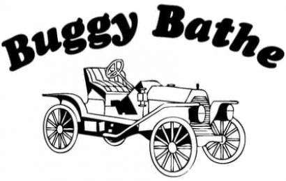 Buggy Bathe Auto Wash, Lube & Detail Shoppe Logo