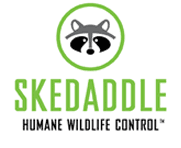 Skedaddle Logo