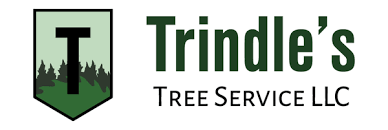 Trindle's Tree Service,  LLC. Logo