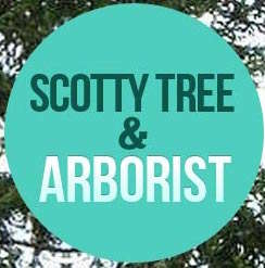 Scotty Tree & Arborist Service Logo