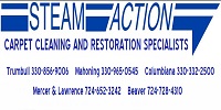Steam Action Carpet Cleaning Co. Logo