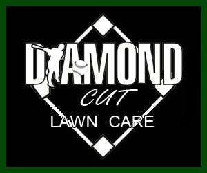 Diamond Cut Lawn Care Logo