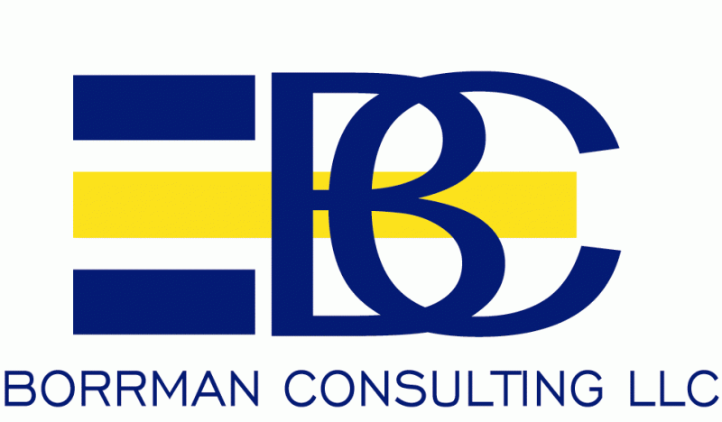 Borrman Consulting LLC Logo