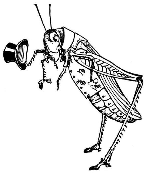 Grasshopper Construction, LLC Logo