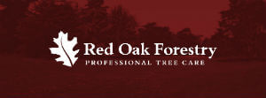 Red Oak Forestry Logo