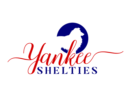 Yankee Shelties Logo