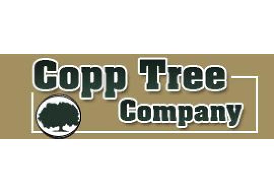 Copp Tree Company, LLC Logo