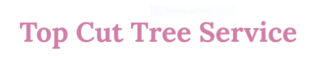 Top Cut Tree Service Inc Logo
