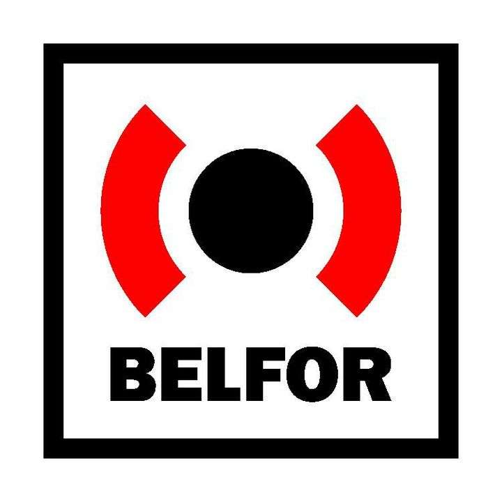 Belfor USA Logo