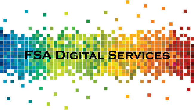 FSA Digital Services Logo