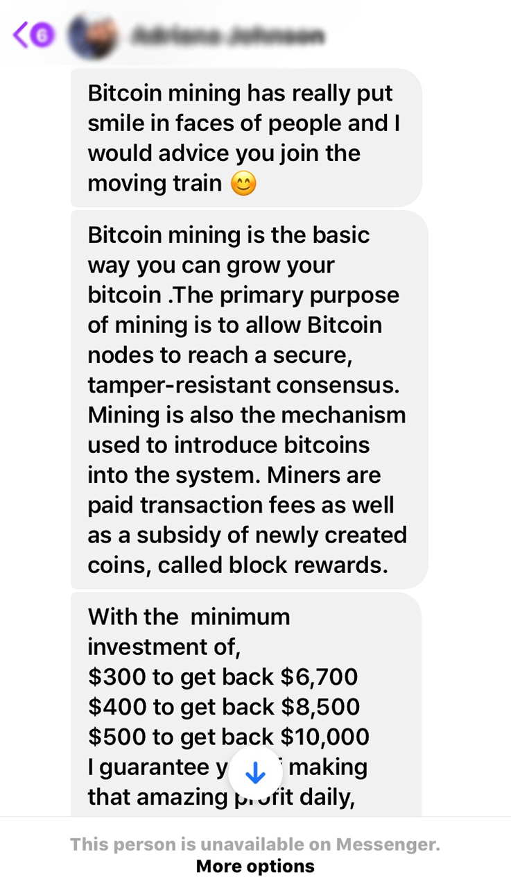 Text message from crypto scammer with info about Bitcoin