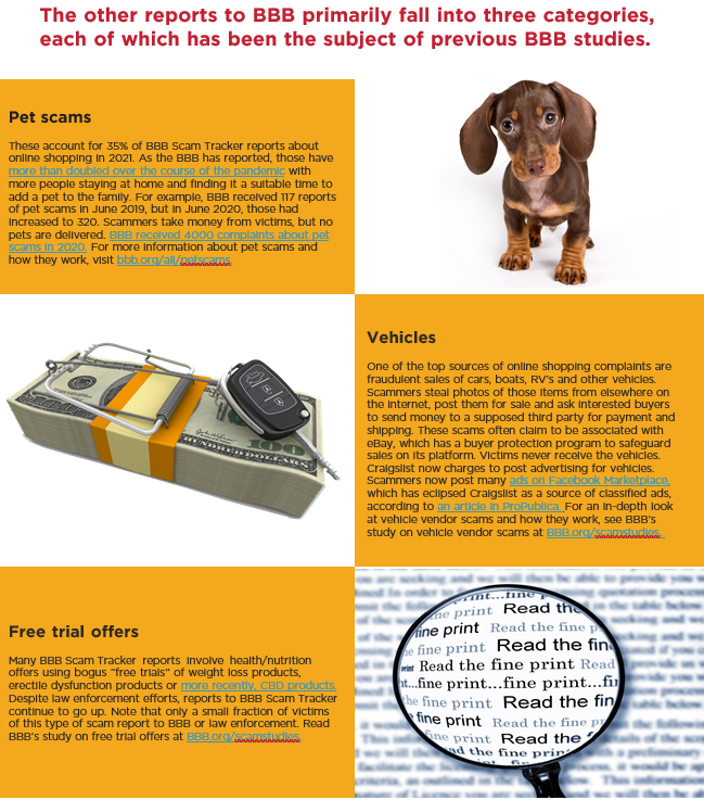 Online shopping fraud page 6 with dog, money, and text