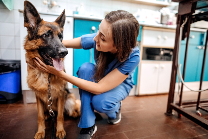 BBB Tip: Choosing a veterinarian for your pet
