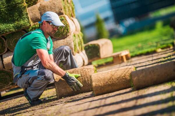 mexican lawn care