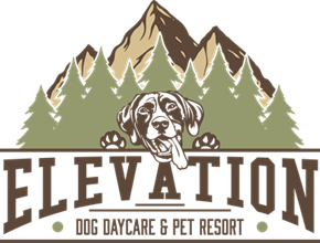 Elevation Pet Resort