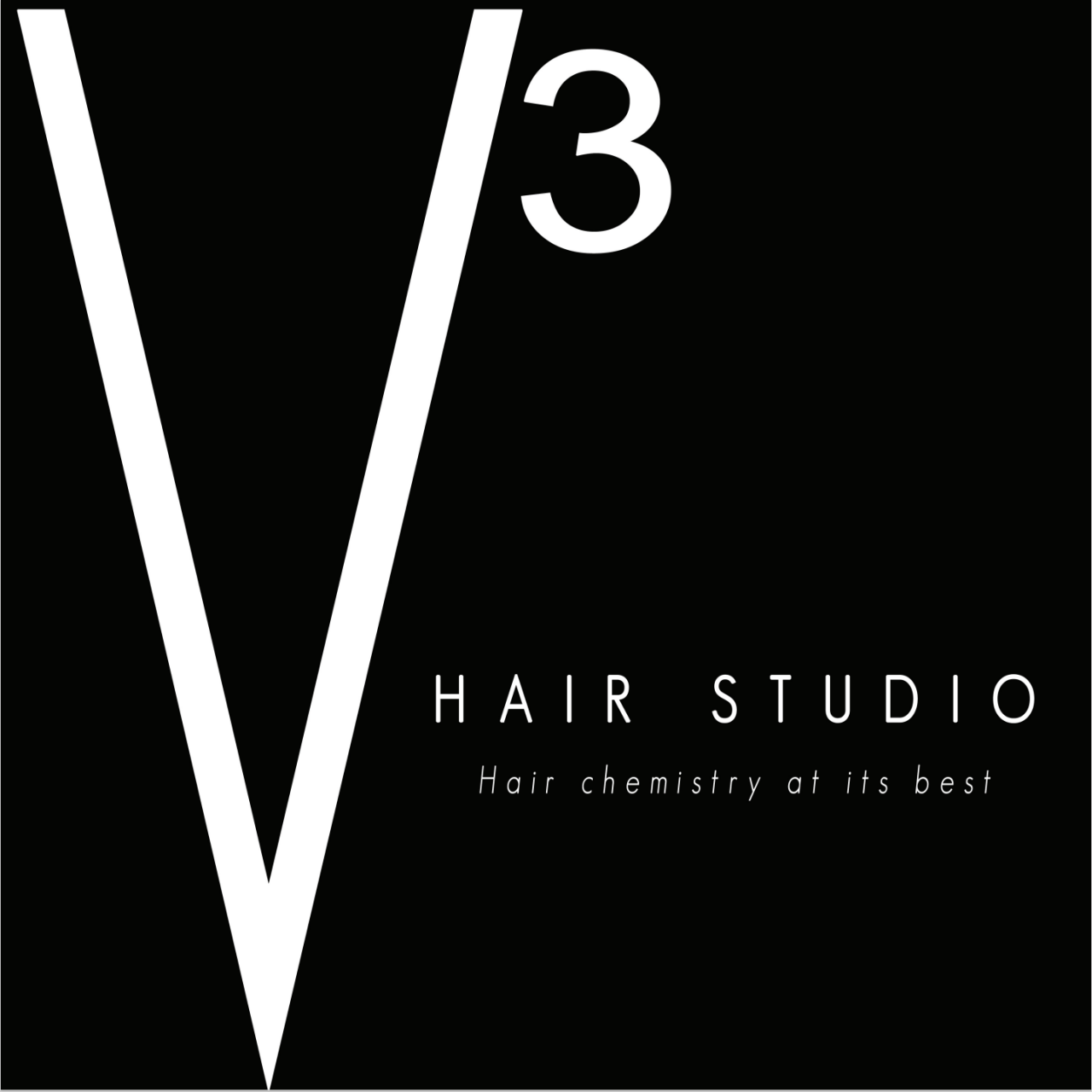 V3 logo